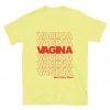 Vagina Not A Dirty Word T-Shirt