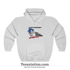 What Are Boobs Visual Learner Funny Sonic Meme Hoodie