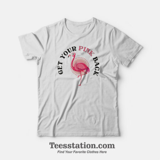 Flamingo Get Your Pink T-Shirt