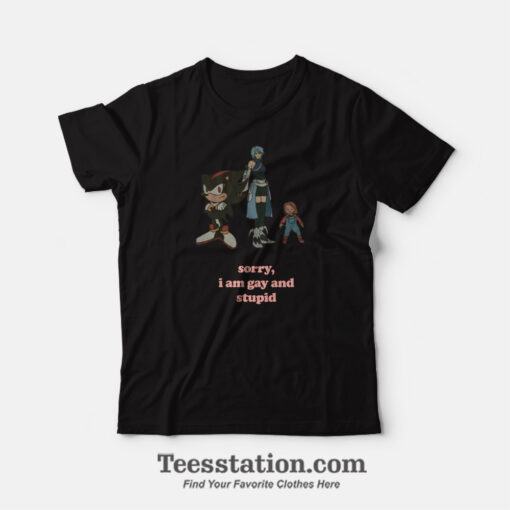 Shadow Aqua Chucky Sorry I Am Gay And Stupid Meme T-Shirt